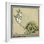 White Frame