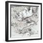 Black Frame
