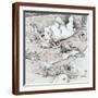 Brown Frame