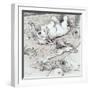 White Frame