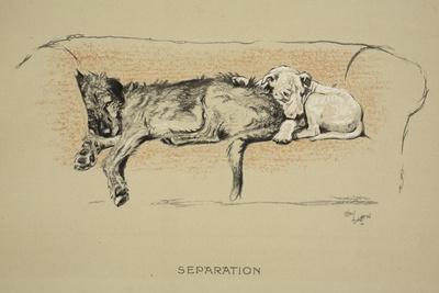 Separation, 1930, 1st Edition of Sleeping Partners
