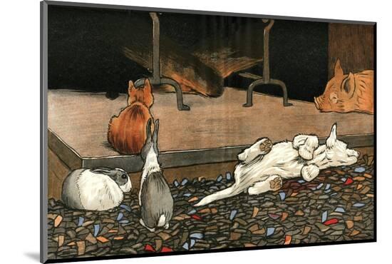 Photographic Print, , large