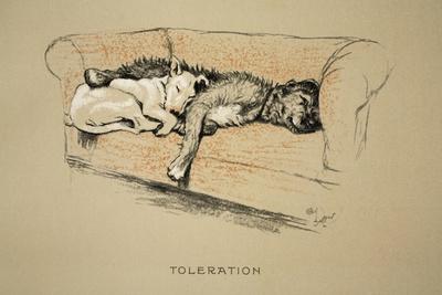 Toleration, 1930, 1st Edition of Sleeping Partners