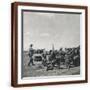 Brown Frame