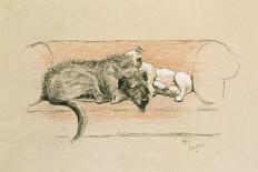 Wolfhound and Bull Terrier Asleep on a Sofa-Cecil Charles Windsor Aldin-Stretched Canvas