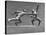 Cecil Howard's Sculpture of Two Men Fencing-Andreas Feininger-Stretched Canvas