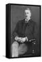 Cecil John Rhodes, British-Born South African Businessman, Mining Magnate, Politician, 1902-Cecil John Rhodes-Framed Stretched Canvas