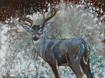 Deer I-Cecile Broz-Giclee Print