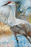 Sandhill Cranes I-Cecile Broz-Mounted Giclee Print