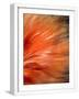 Chelsea White