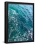 Essential Black