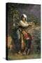 Stretched Canvas