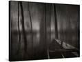 Stretched Canvas