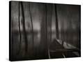 Stretched Canvas