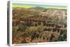 Cedar Breaks Nat'l Monument, Utah - Panoramic View of Cedar Breaks, c.1938-Lantern Press-Stretched Canvas