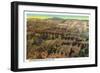 Cedar Breaks Nat'l Monument, Utah - Panoramic View of Cedar Breaks, c.1938-Lantern Press-Framed Art Print