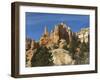 Cedar Breaks National Monument, Utah, United States of America, North America-Robert Harding-Framed Photographic Print