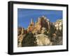 Cedar Breaks National Monument, Utah, United States of America, North America-Robert Harding-Framed Photographic Print