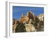 Cedar Breaks National Monument, Utah, United States of America, North America-Robert Harding-Framed Photographic Print