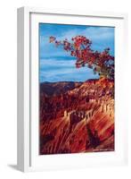 Cedar Breaks National Monument-null-Framed Art Print