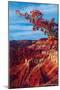 Cedar Breaks National Monument-null-Mounted Art Print