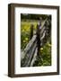 Cedar Fence-John Gusky-Framed Photographic Print