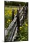 Cedar Fence-John Gusky-Mounted Photographic Print