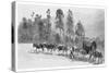Cedar-Getting on the Richmond River, New South Wales, Australia, 1886-JR Ashton-Stretched Canvas