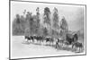 Cedar-Getting on the Richmond River, New South Wales, Australia, 1886-JR Ashton-Mounted Giclee Print