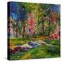 Cedar Hill, Central Park-Peter Graham-Stretched Canvas