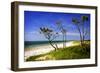 Cedar Inlet-Alan Hausenflock-Framed Photographic Print