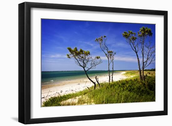 Cedar Inlet-Alan Hausenflock-Framed Photographic Print