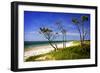 Cedar Inlet-Alan Hausenflock-Framed Photographic Print