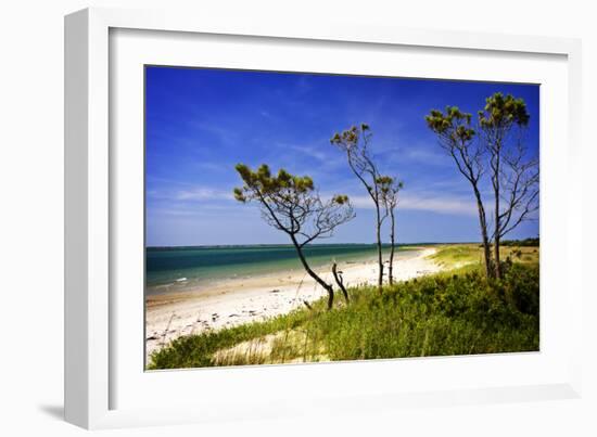 Cedar Inlet-Alan Hausenflock-Framed Photographic Print