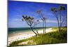 Cedar Inlet-Alan Hausenflock-Mounted Photographic Print