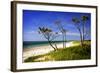 Cedar Inlet-Alan Hausenflock-Framed Photographic Print