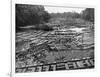 Cedar Logs on the Tebicuary-Guazu River Floating by the Railway Bridge, Paraguay, 1911-null-Framed Giclee Print