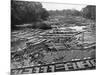 Cedar Logs on the Tebicuary-Guazu River Floating by the Railway Bridge, Paraguay, 1911-null-Mounted Giclee Print