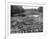 Cedar Logs on the Tebicuary-Guazu River Floating by the Railway Bridge, Paraguay, 1911-null-Framed Giclee Print