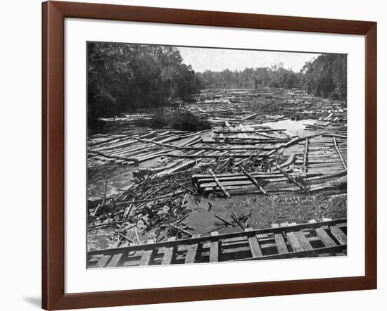 Cedar Logs on the Tebicuary-Guazu River Floating by the Railway Bridge, Paraguay, 1911-null-Framed Giclee Print