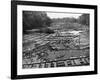 Cedar Logs on the Tebicuary-Guazu River Floating by the Railway Bridge, Paraguay, 1911-null-Framed Giclee Print