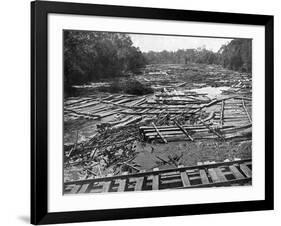 Cedar Logs on the Tebicuary-Guazu River Floating by the Railway Bridge, Paraguay, 1911-null-Framed Giclee Print