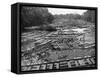 Cedar Logs on the Tebicuary-Guazu River Floating by the Railway Bridge, Paraguay, 1911-null-Framed Stretched Canvas