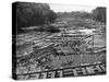 Cedar Logs on the Tebicuary-Guazu River Floating by the Railway Bridge, Paraguay, 1911-null-Stretched Canvas