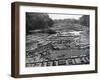 Cedar Logs on the Tebicuary-Guazu River Floating by the Railway Bridge, Paraguay, 1911-null-Framed Giclee Print