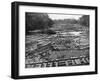 Cedar Logs on the Tebicuary-Guazu River Floating by the Railway Bridge, Paraguay, 1911-null-Framed Giclee Print