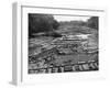 Cedar Logs on the Tebicuary-Guazu River Floating by the Railway Bridge, Paraguay, 1911-null-Framed Giclee Print