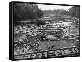 Cedar Logs on the Tebicuary-Guazu River Floating by the Railway Bridge, Paraguay, 1911-null-Framed Stretched Canvas