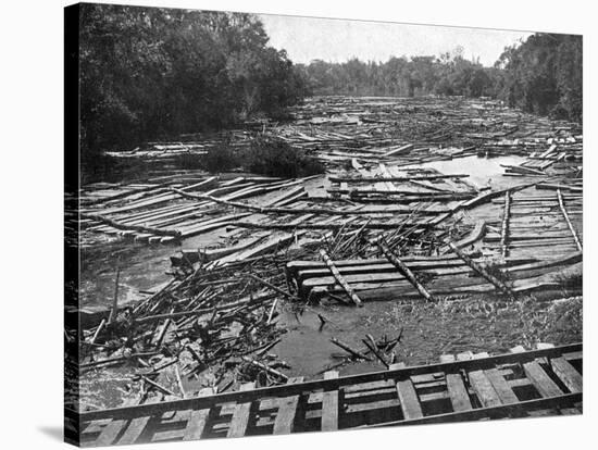 Cedar Logs on the Tebicuary-Guazu River Floating by the Railway Bridge, Paraguay, 1911-null-Stretched Canvas