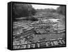 Cedar Logs on the Tebicuary-Guazu River Floating by the Railway Bridge, Paraguay, 1911-null-Framed Stretched Canvas